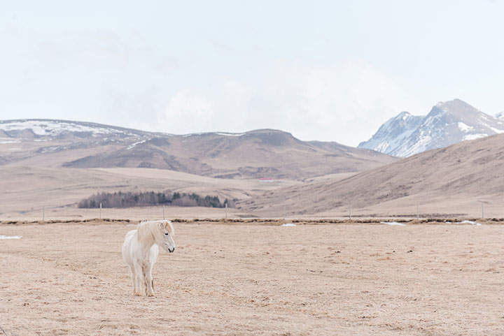 The Bride Wore Modest Mon Cheri To Her Icelandic Elopement