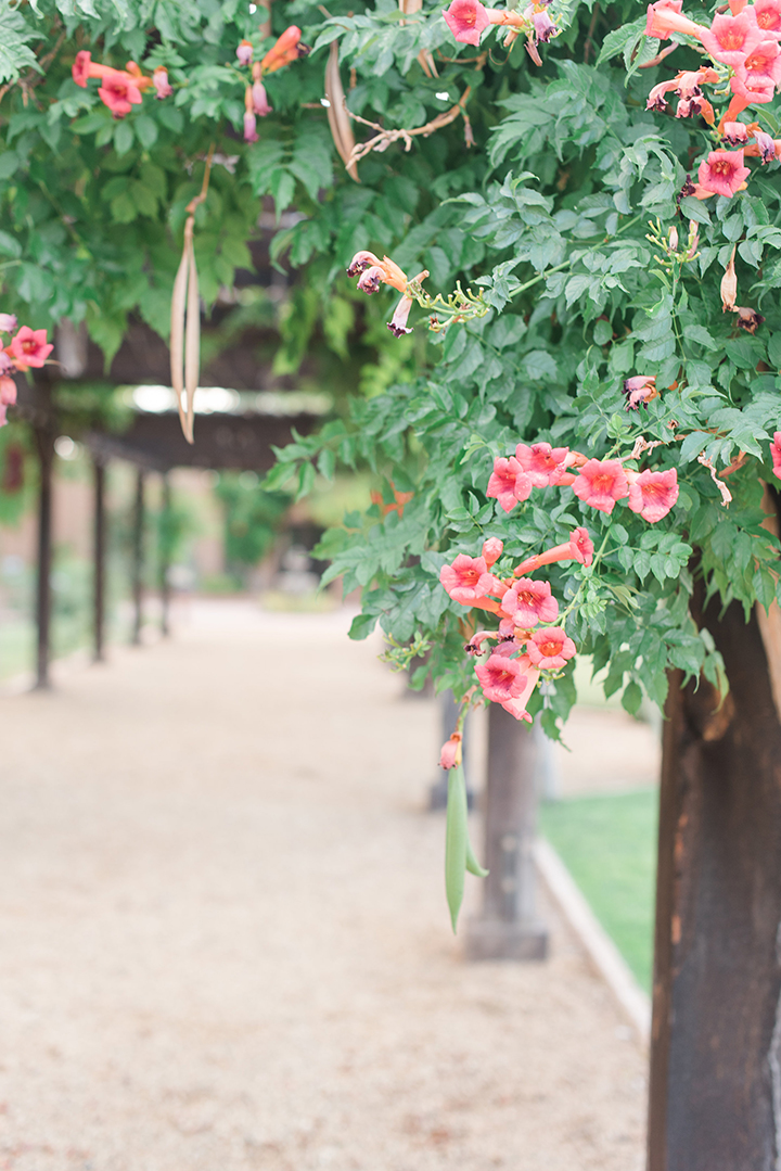 Bride & Groom Portraits at Casa Perea In New Mexico