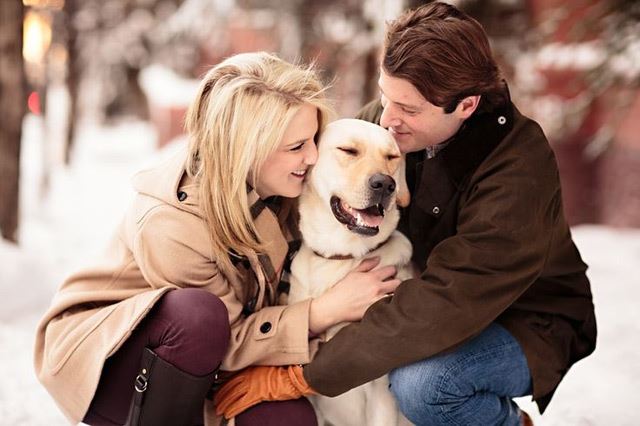 21 Oh So Adorable Engagement Photos With Dogs