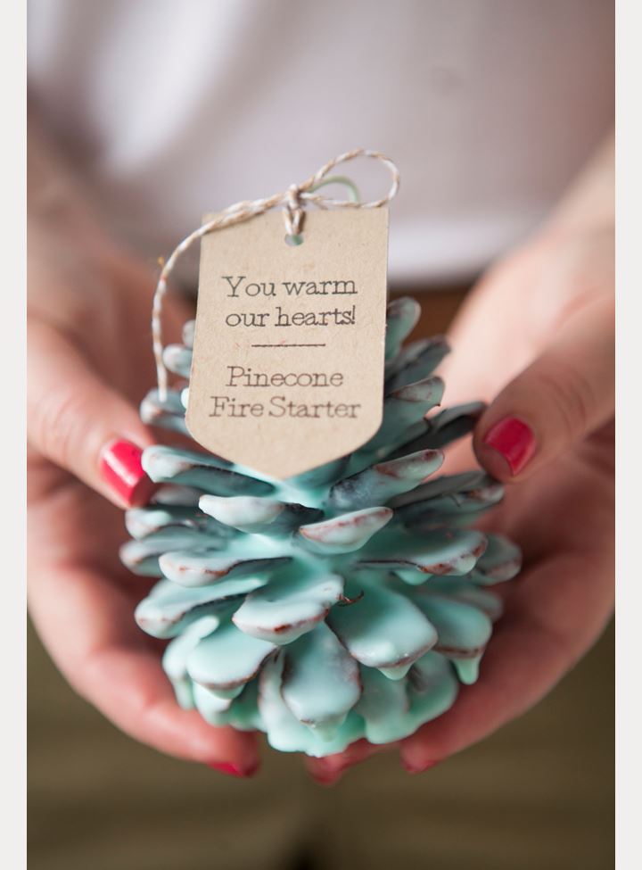 DIY Pinecone Fire Starter Wedding Favors