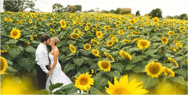Sunflower Weddings
