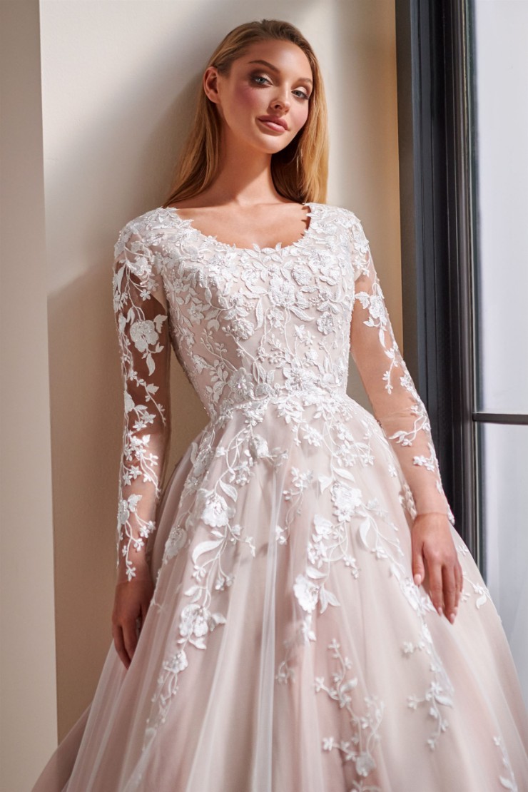 Modest by Mon Cheri #TR22176 #$4 Ivory/Tea Rose picture