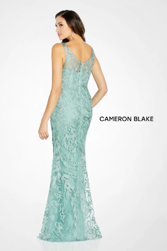 Cameron Blake #CB136 $3 Sage thumbnail
