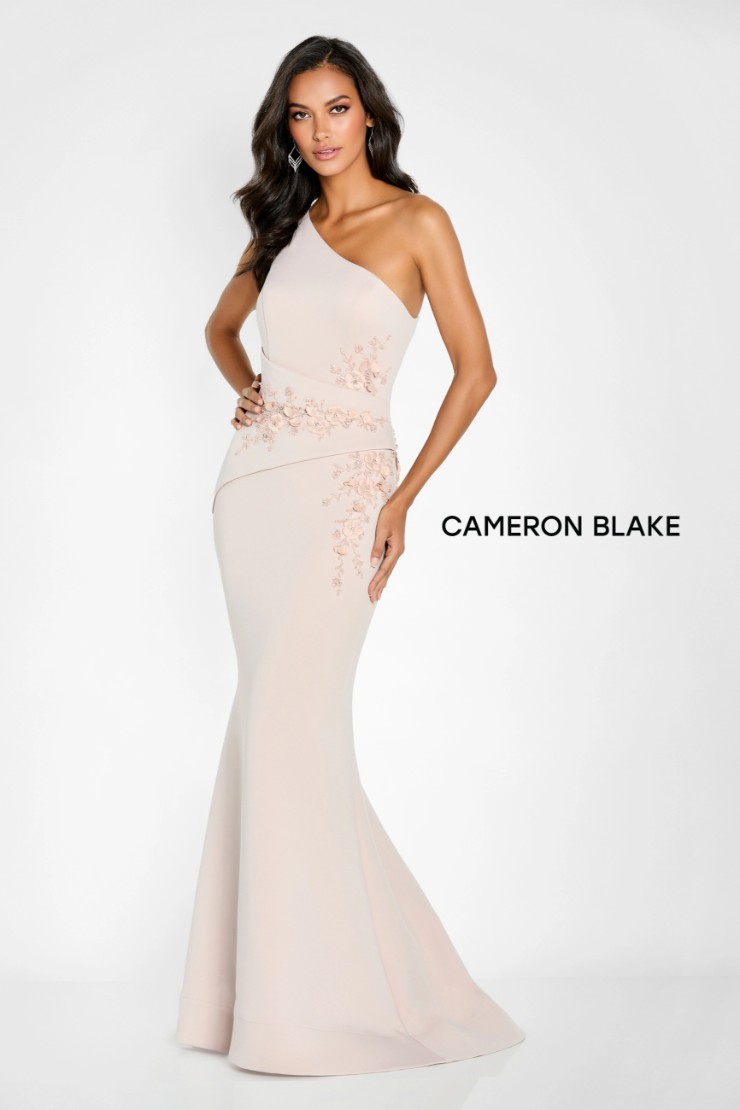Cameron Blake #CB142 Thumbnail Image
