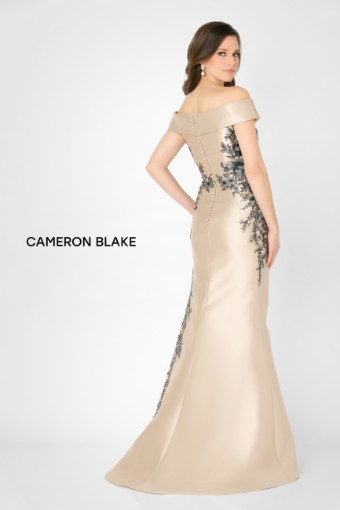 Cameron Blake #CB777 $2 Champagne thumbnail