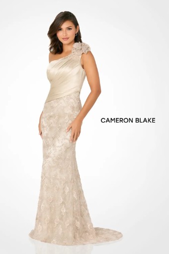 Cameron Blake #CB796 $3 Taupe thumbnail