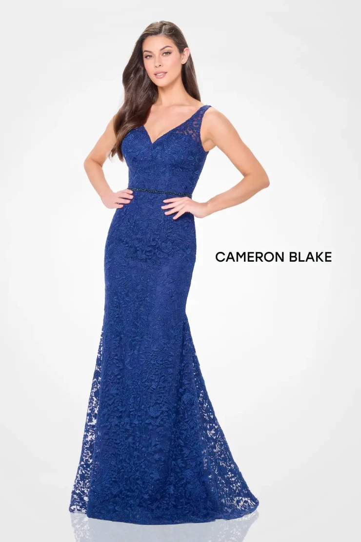 Cameron Blake #CB3238 #3 Blue Willow picture
