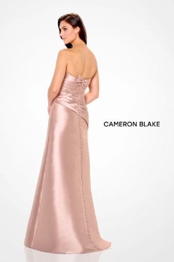 Cameron Blake #CB3248 $2 Blush thumbnail