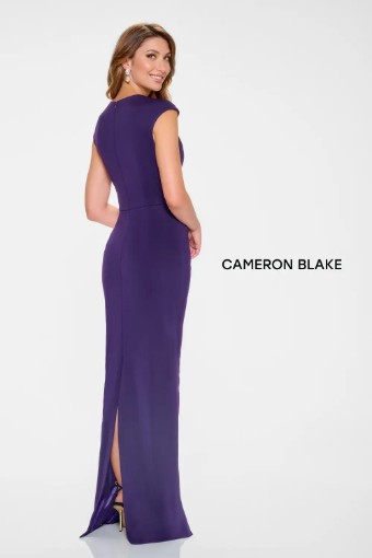 Cameron Blake #CB205 $2 Dark Amethyst thumbnail