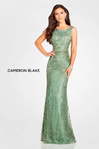 Cameron Blake #119644 $3 default Dark Sage thumbnail