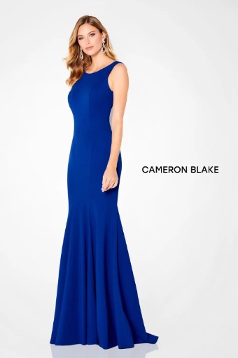 Cameron Blake #220635 $3 Royal Blue thumbnail