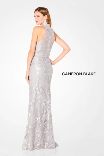 Cameron Blake #220645 $3 Silver thumbnail
