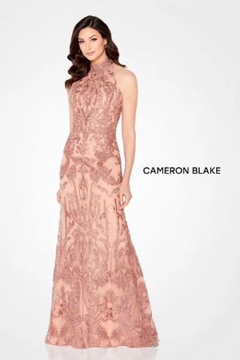 Cameron Blake #220645 $4 Rosewood thumbnail